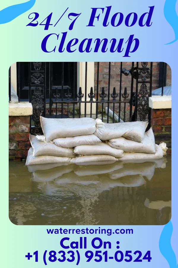 24/7 Flood Cleanup in Saugerties South, NY