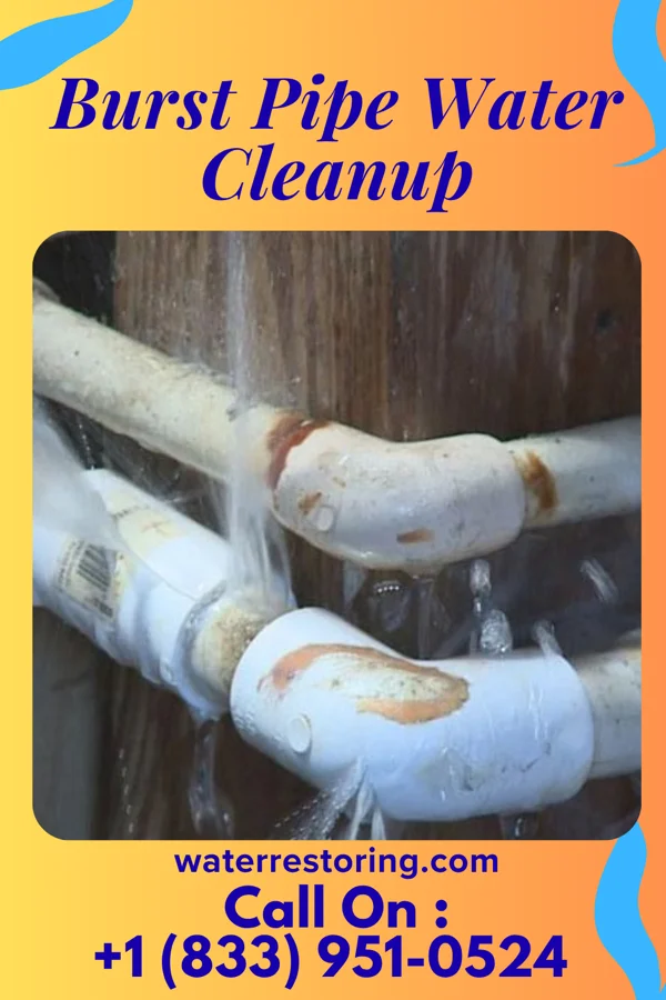 Burst Pipe Water Cleanup in Saugerties South, NY