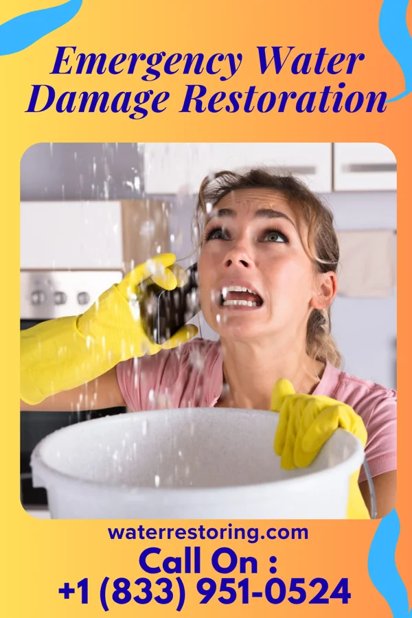 Emergency Water Damage Restoration in Saugerties South, NY