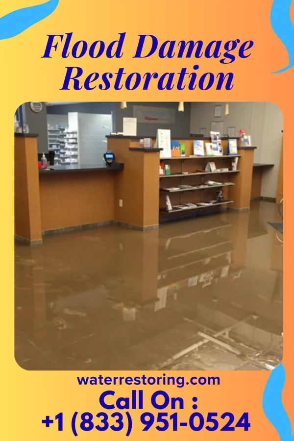 Flood Damage Restoration in Saugerties South, NY
