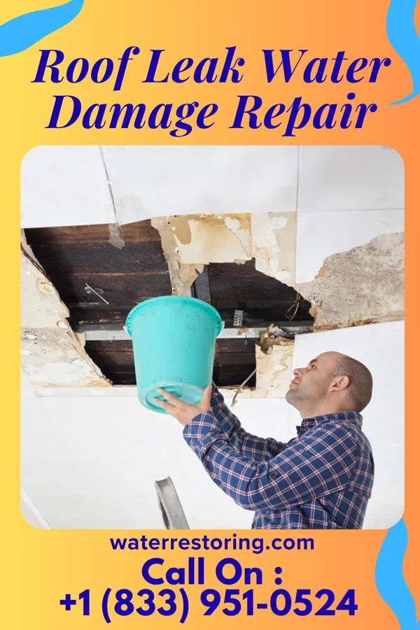 Roof Leak Water Damage Repair in Saugerties South, NY