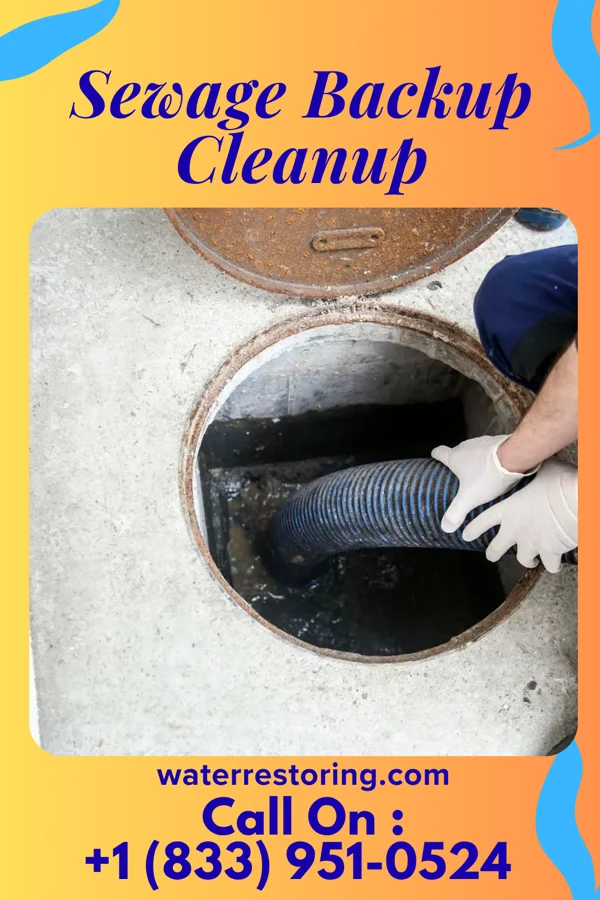 Sewage Backup Cleanup in Saugerties South, NY