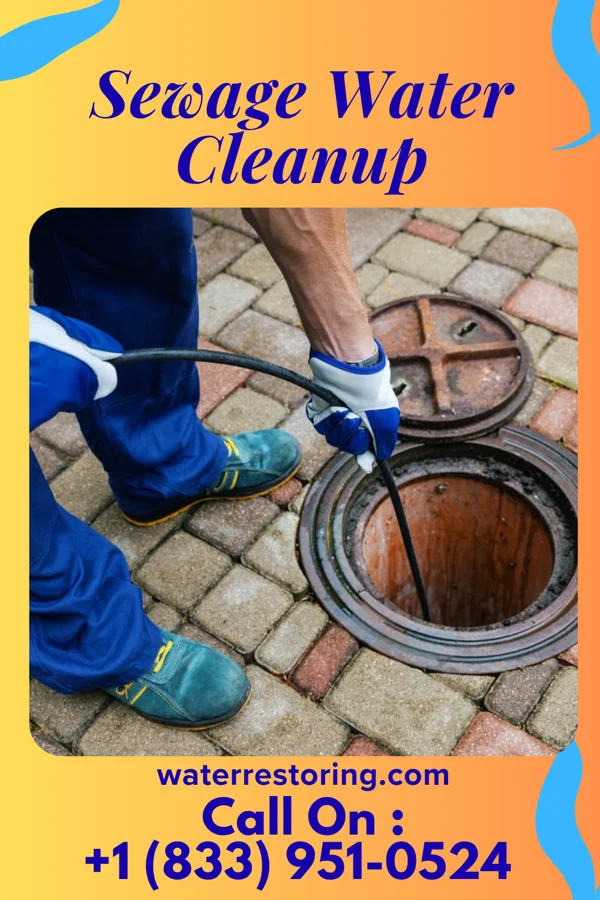 Sewage Water Cleanup in Saugerties South, NY