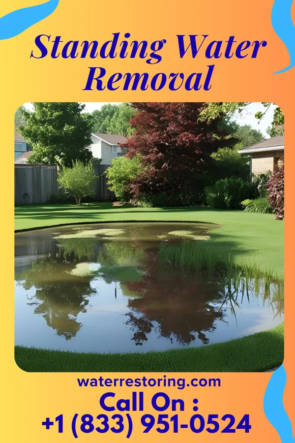 Standing Water Removal in Saugerties South, NY